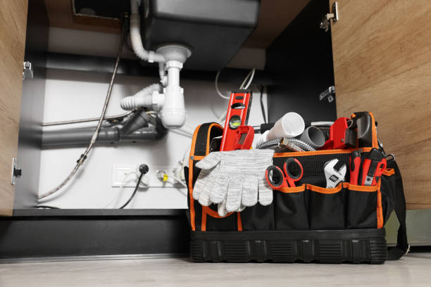 Best Plumbing Services Near Me  in Hoback, WY